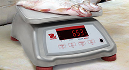 Ohaus Bench Scales