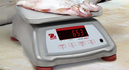 Bench Scales, food scales, meat scales